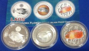 Cichlasoma Flower Horn Coins Silver Proof