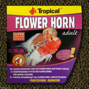 Buy Flowerhorn Adult Pellets